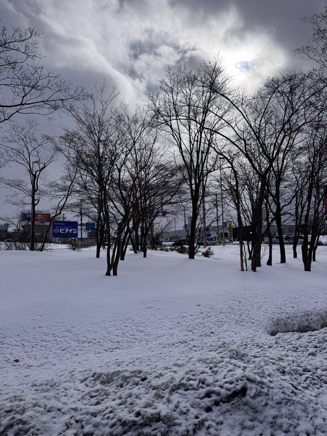 Hokkaido trip 