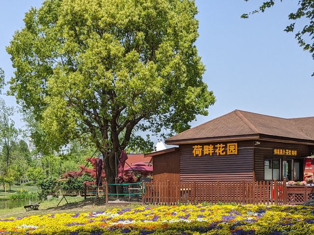 Century Park
