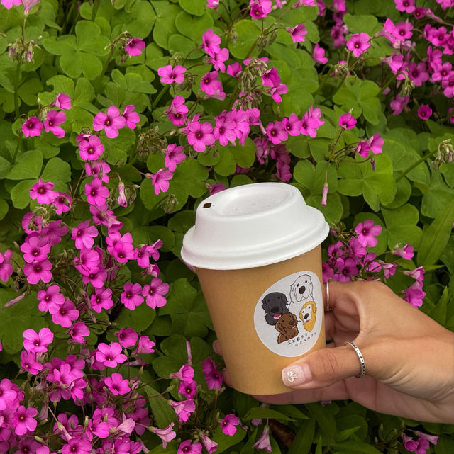 คาเฟ่สไตล์โฮมมี่ บนเกาะซาโดะ จ.นีงาตะ 🥯🐶