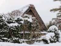 หมู่บ้านชิราคาวาโกะ (Shirakawa-go)