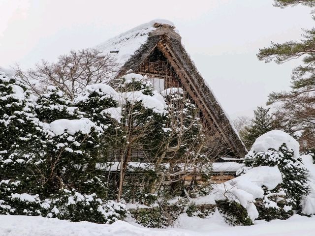 หมู่บ้านชิราคาวาโกะ (Shirakawa-go)