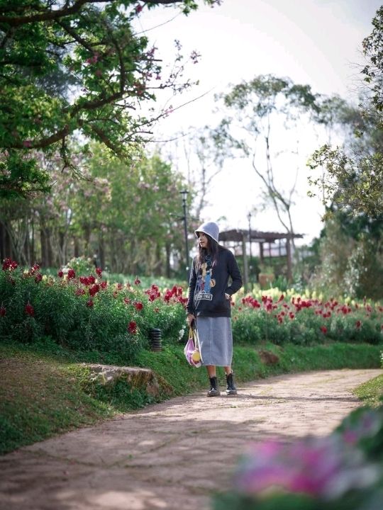 จุดชมซากุระและดอกไม้เมืองหนาวเมืองไทย