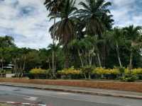 เดินเล่น🌴🌴 ที่สวนสาธารณะเทศบาลนครหาดใหญ่ 🌲🌲กัน
