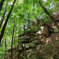 Laid-back Trails & Sky Views, Heeyangsan