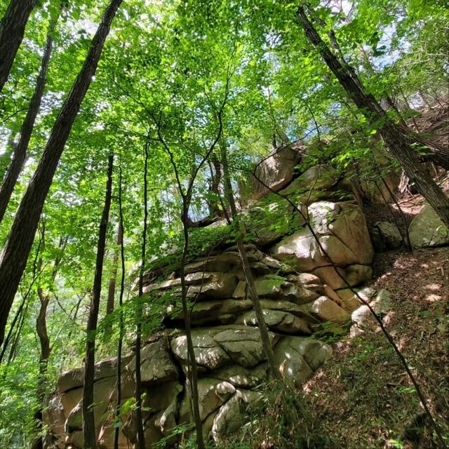 Laid-back Trails & Sky Views, Heeyangsan