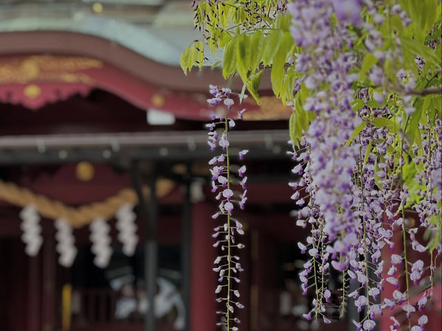 🦊【茨城・笠間市 笠間稲荷神社 & 笠間焼】五穀豊穣と陶芸体験で心満たされる里山旅 
