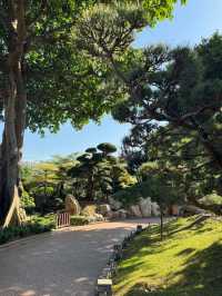 Nan Lian Garden (南蓮園池), Hong Kong