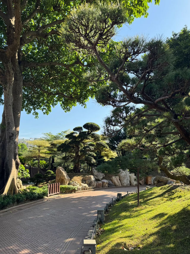 Nan Lian Garden (南蓮園池), Hong Kong