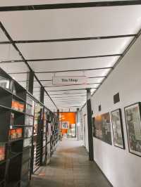 Sip, Shop & Savor: The BOH Tea Boutique Experience