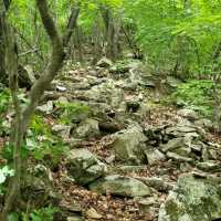 Rocky Ridges & Peaceful Vibes, Ilwolsan Delivers
