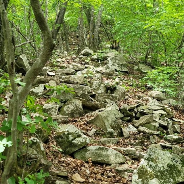 Rocky Ridges & Peaceful Vibes, Ilwolsan Delivers