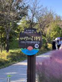 함안 무진정, 악양생태공원 여행코스 추천🩵🩷