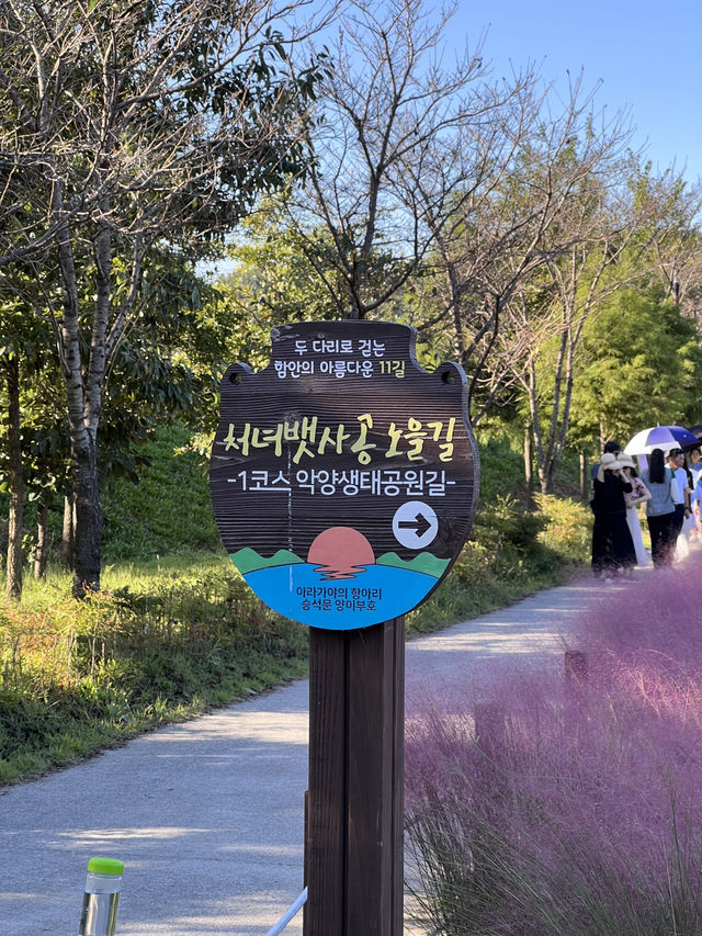 함안 무진정, 악양생태공원 여행코스 추천🩵🩷