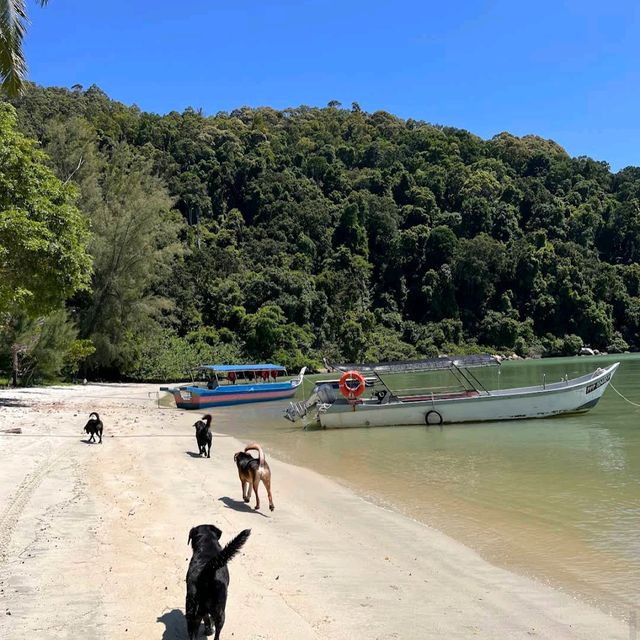 Penang National Park