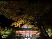 奇岩と紅葉が織りなす絶景🌿那谷寺で心洗われる癒し旅