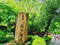 峽谷的地貌像仙境一樣夢幻！九州看過最美的風景！