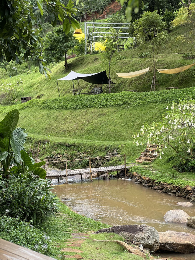 คาเฟ่เชียงใหม่ที่ไม่ควรพลาดต้องที่นี่ WTF Cafe ⛰️