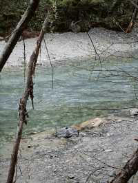 ระหว่างทางเดินไปสะพานคปปะ (Kamikochi) 🩵