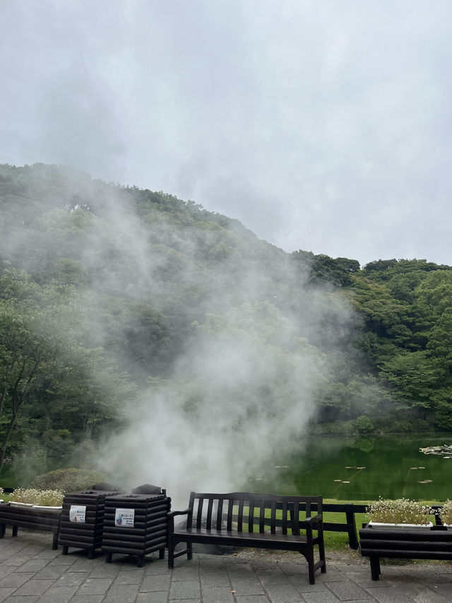 5 Days 4 Nights in Fukuoka – My Perfect Kyushu Escape 🇯🇵✨