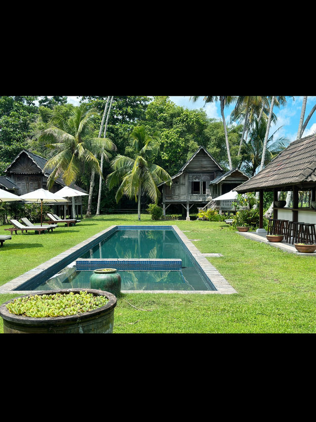🐾First Meal in Langkawi – Cats, Grass & Chill at NAM Restaurant
