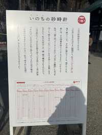 見渡す限りダルマで溢れているお寺！