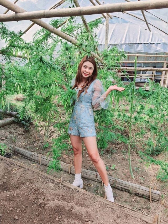 ชิราคาวาโกะ คาเฟ่ สวนผึ้ง