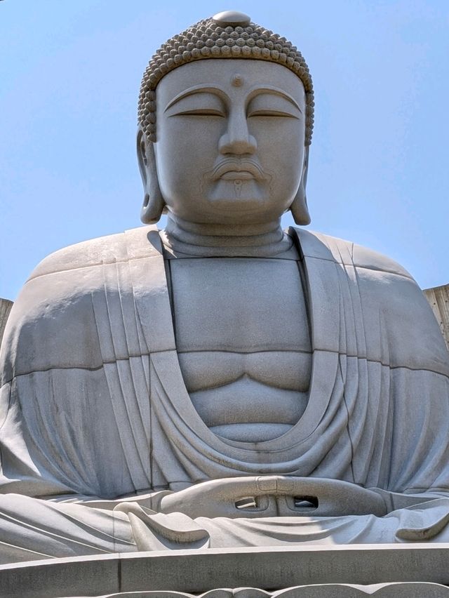 9 Days in Sapporo; Otaru; Lake Toya; Furano; Biei and Back to Sapporo