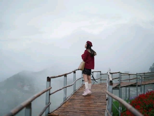 ยิ่งยงสวนดอกไม้บนยอดเขา