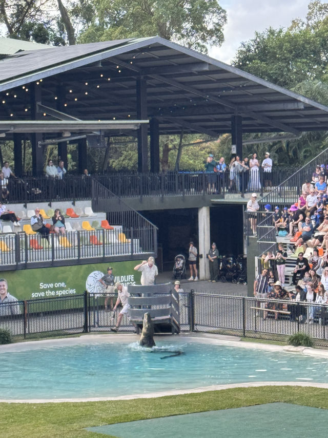 Australia Zoo 🦘🇦🇺🐨
