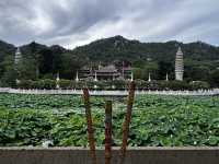 Nanputuo Temple’s Water Lily Garden: Where Buddha Meets Blooms (And Your Soul Finds Zen)"** 🌸🏯  