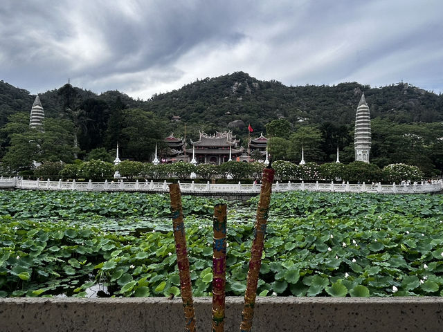 Nanputuo Temple’s Water Lily Garden: Where Buddha Meets Blooms (And Your Soul Finds Zen)"** 🌸🏯  