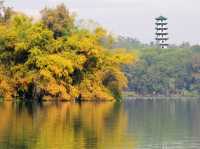 高雄人的後花園：澄清湖慢步日常