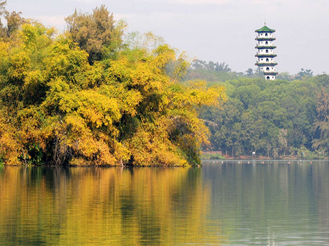 高雄人的後花園：澄清湖慢步日常