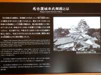 🏯 Timeless Beauty and Family Fun at Nagoya Castle