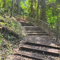 Mount Faber Park (Free hike + scenic views)