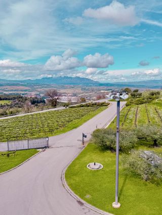 스페인에 간다면 꼭 들려 볼 만한 와이너리 투어