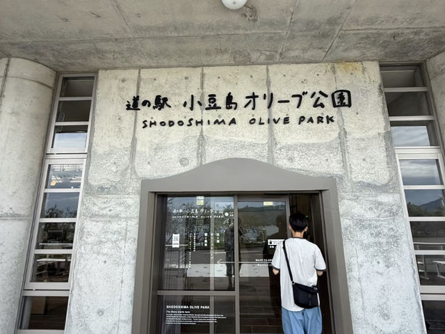 Shodoshima: Beyond the Art Triennale, Discovering its Everyday Charms! 🏝️🌸