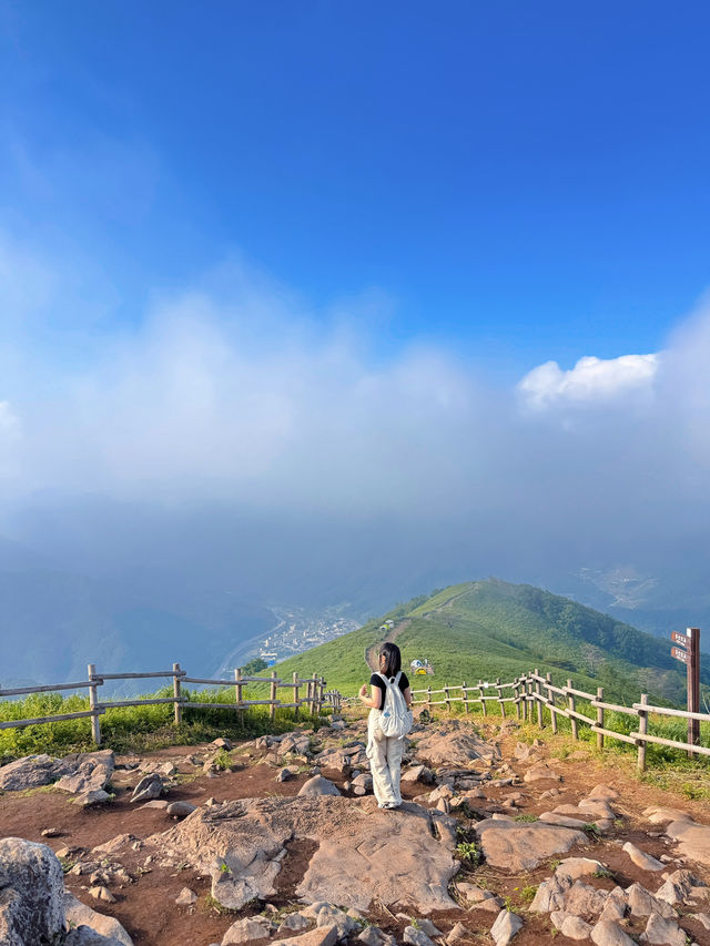 Leo núi Mindungsan (민둥산) tại Hàn Quốc