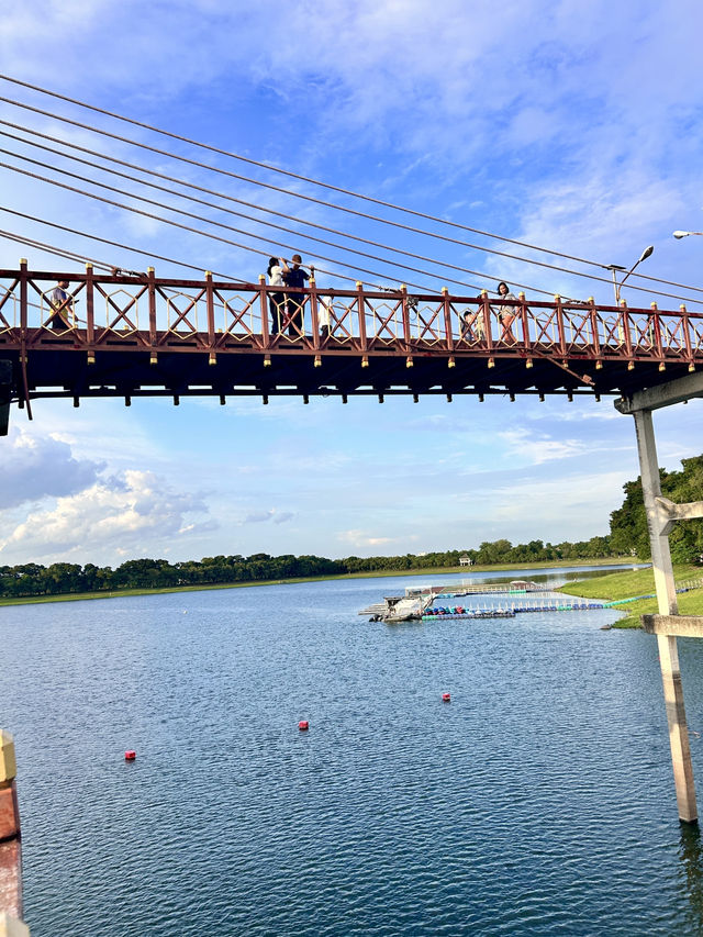 ไปให้อาหารปลากัน @บึงหนองบอน กทม 🌇🐟
