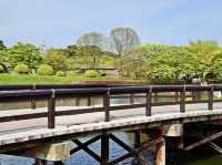 🌸 Walking Through History: A Peaceful Stroll at Goryōkaku Park