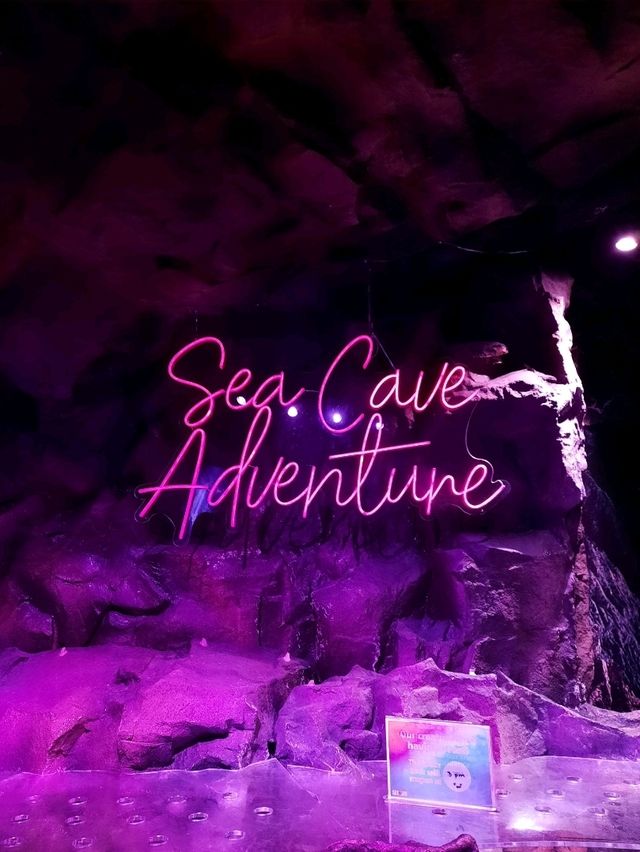 พาชม SEA LIFE Kelly Tarlton’s Aquarium, NZ🇳🇿