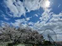 大阪市郊的親子友善景點/萬博紀念公園