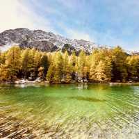 🏔️ Solo Alpine Escape: Swiss Summer Magic
