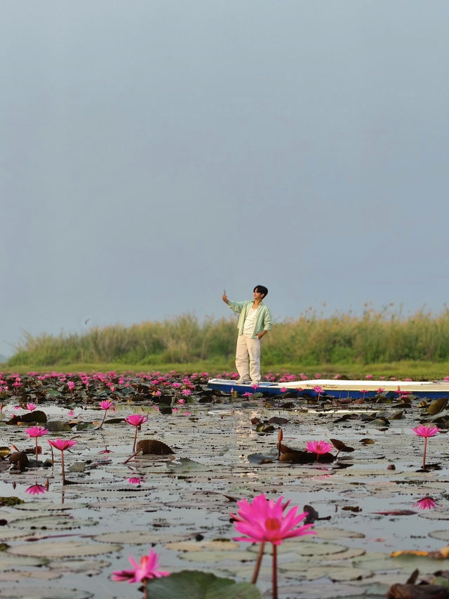ทะเลบัวแดง อุดรธานี Unseen Thailand 🪷