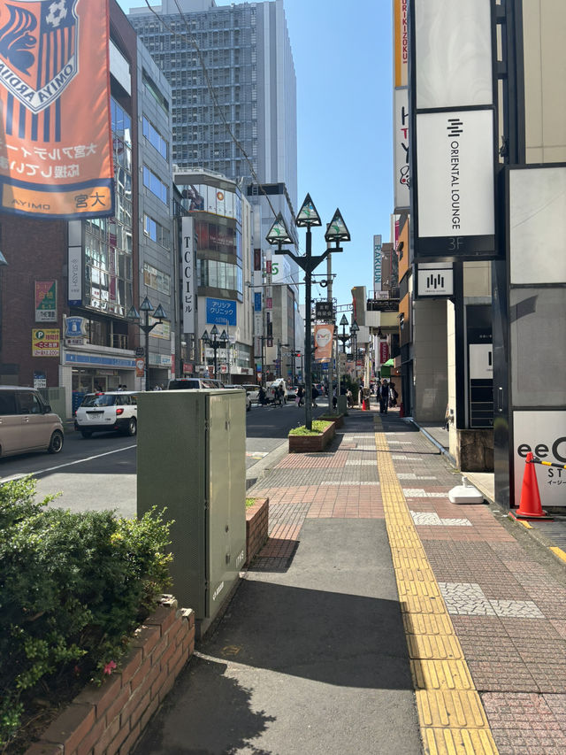 도쿄 힐링 스팟, 단연 요요기공원