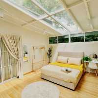 A Sunlit Sanctuary of Nature and Comfort
