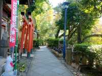 Tunnel of Vermilion Blessings, the Senbon Torii of Otome Inari Shrine