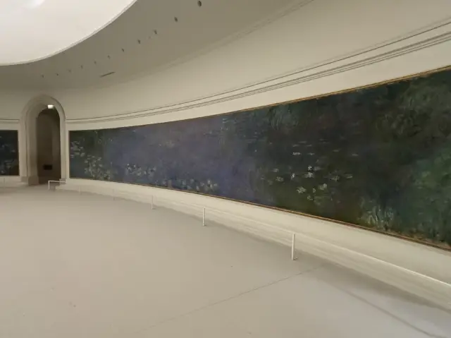 Money’s Water Lilies Experience: Musée de l’Orangerie, Paris