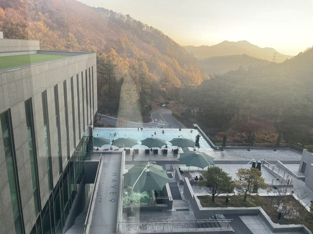 제천 리솜 포레스트