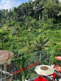  Emerald Steps & Morning Magic: Tegalalang Rice Terrace